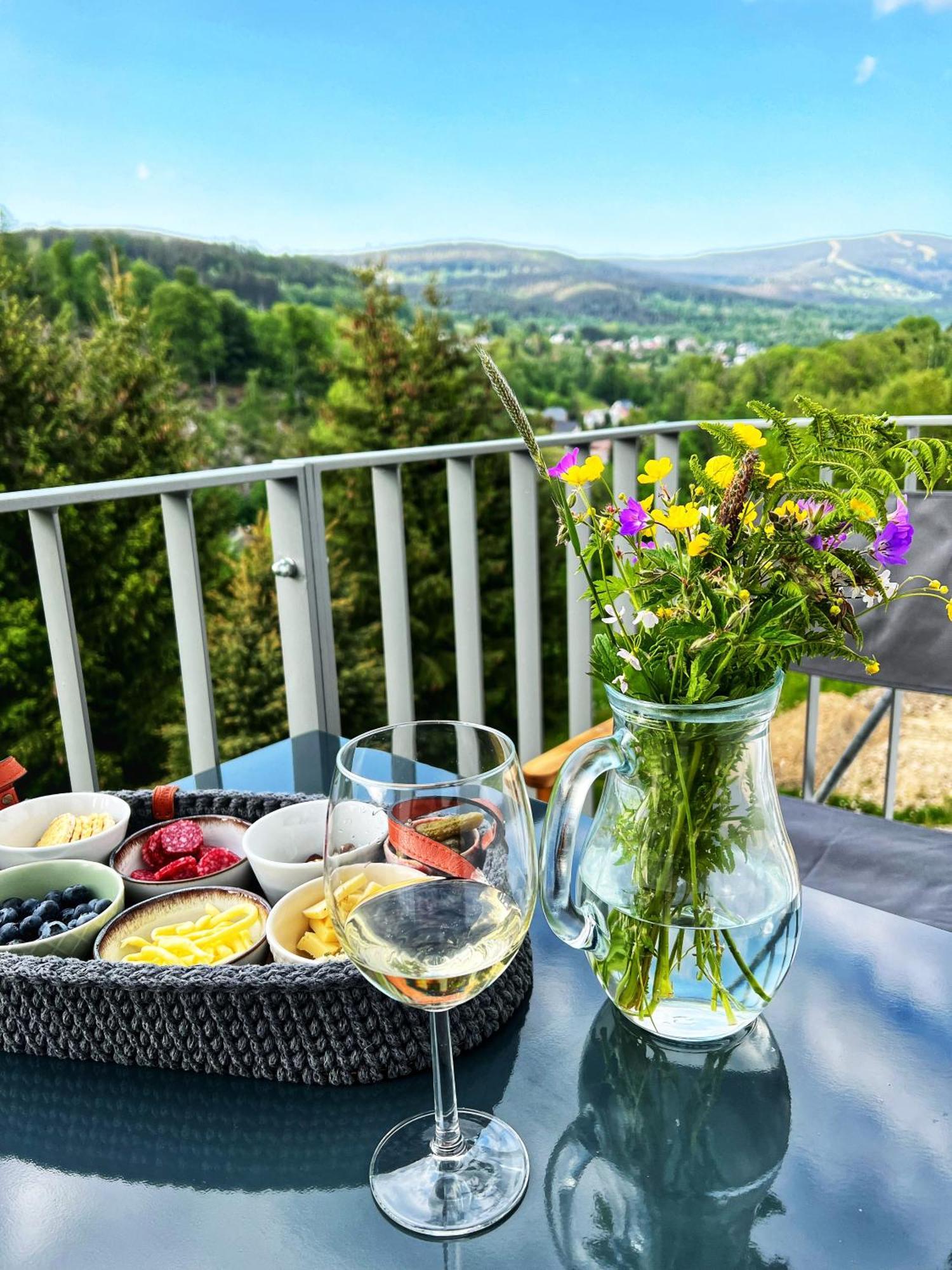 Apartman Vista Rokytnice Rokytnice nad Jizerou Zewnętrze zdjęcie
