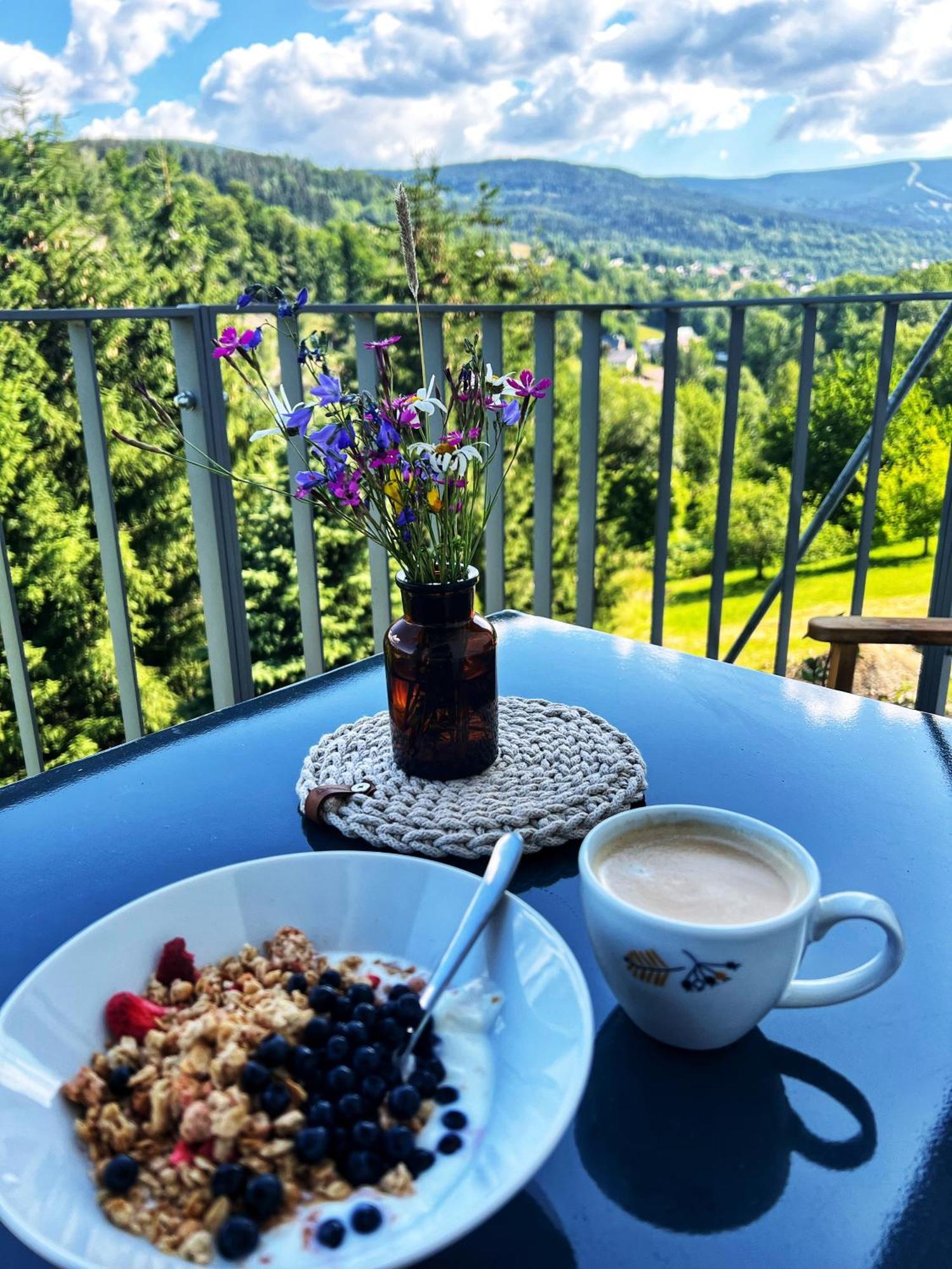 Apartman Vista Rokytnice Rokytnice nad Jizerou Zewnętrze zdjęcie